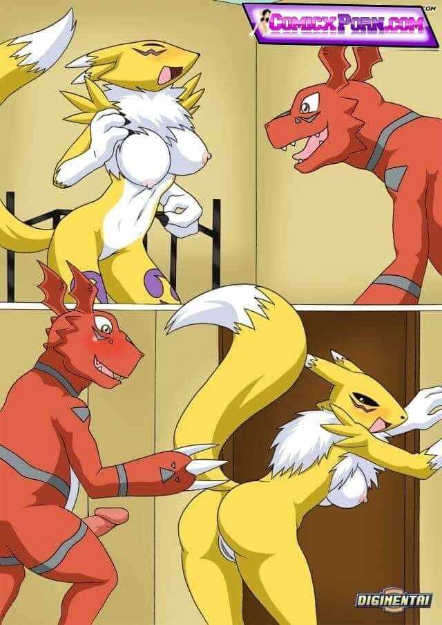 Renamon 08