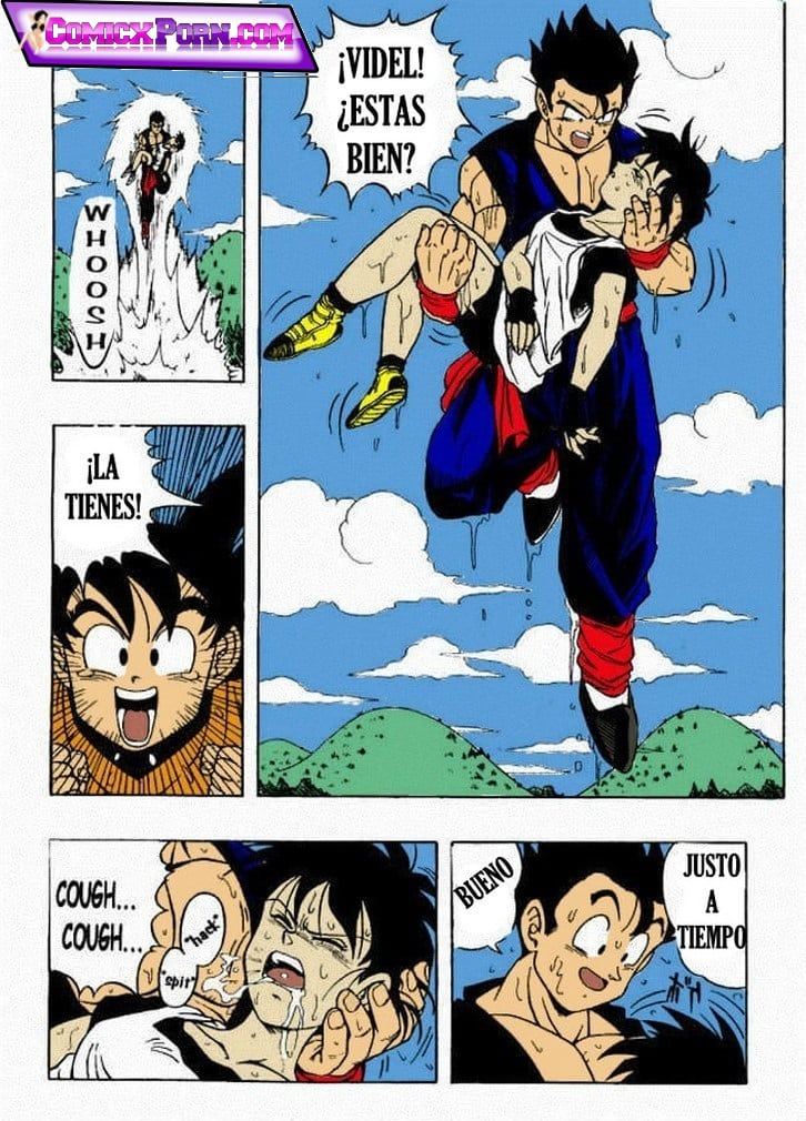 Dragon Ball H Gohan x Videl 06