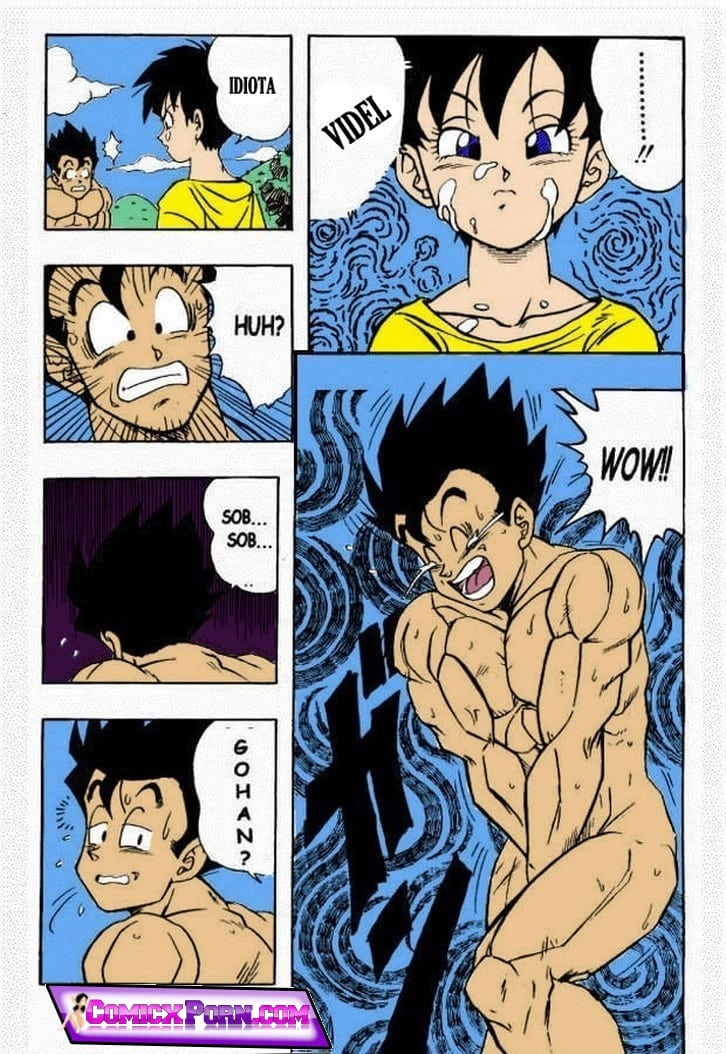 Dragon Ball H Gohan x Videl 14