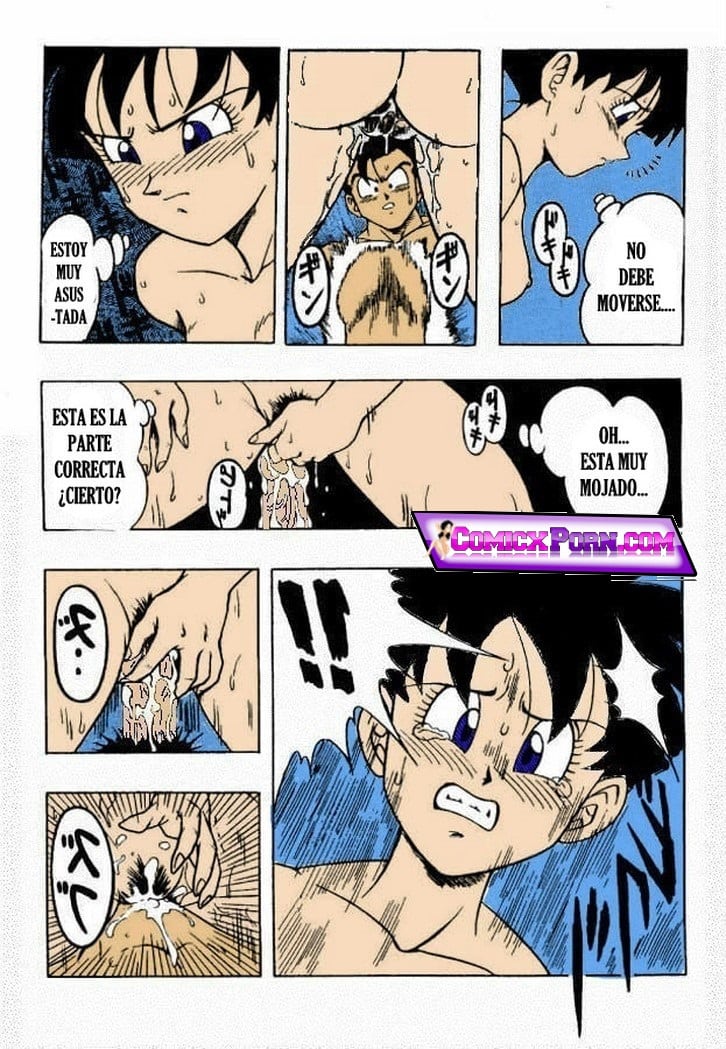 Dragon Ball H Gohan x Videl 17