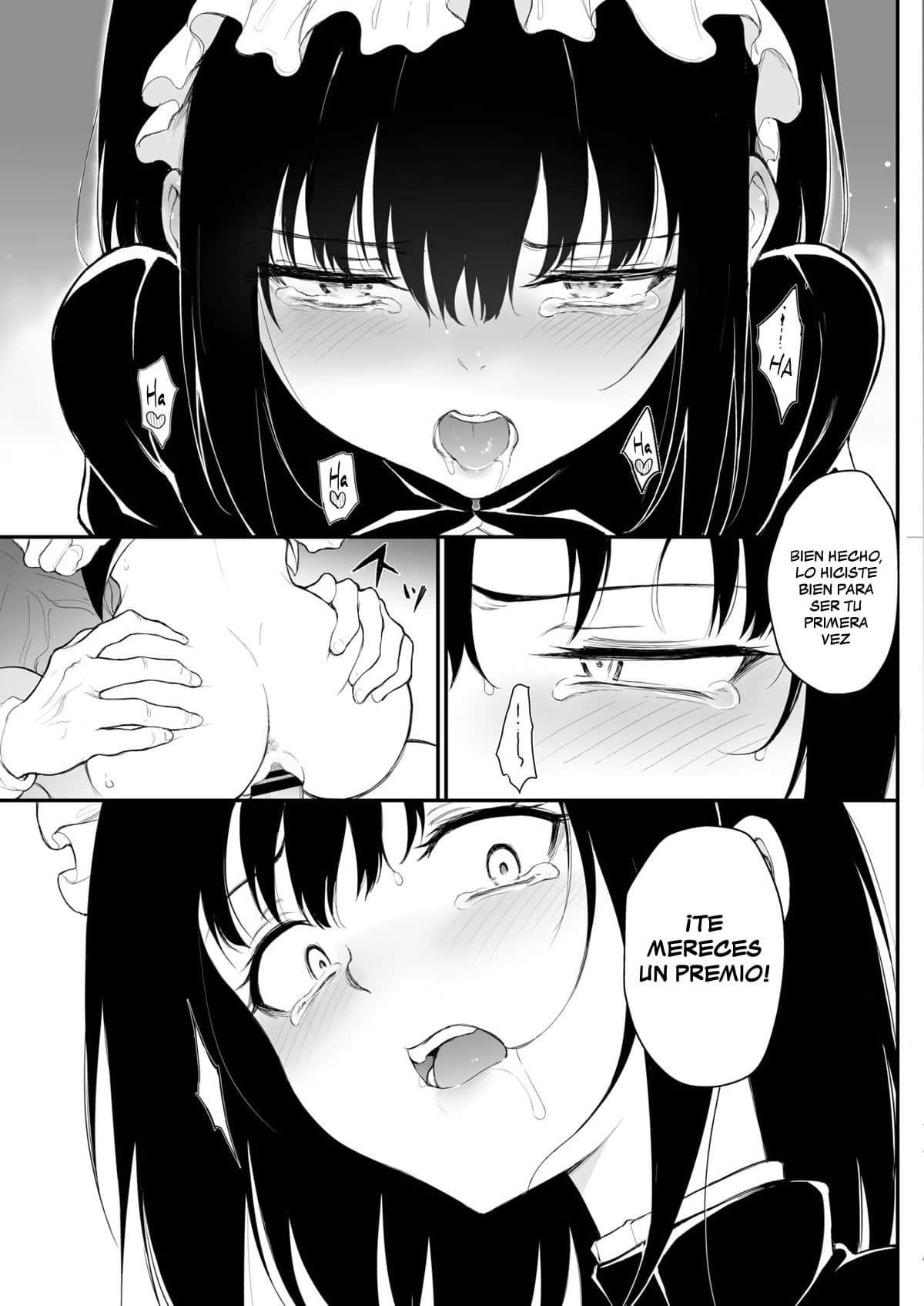 Maid2 20