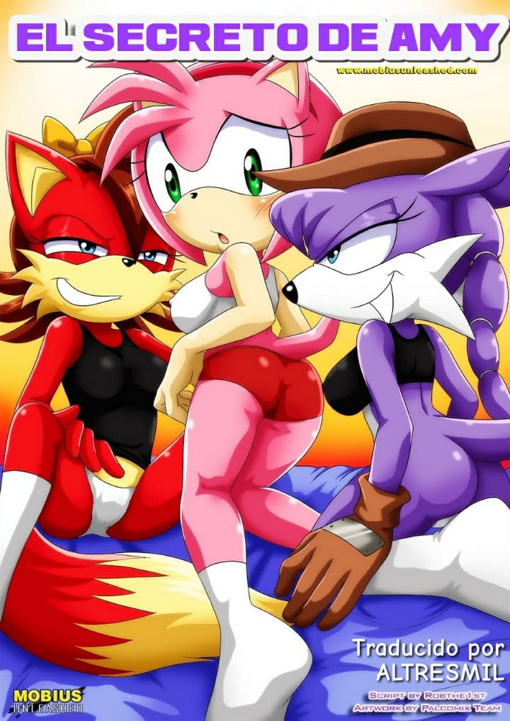 Palcomix El Secreto de Amy