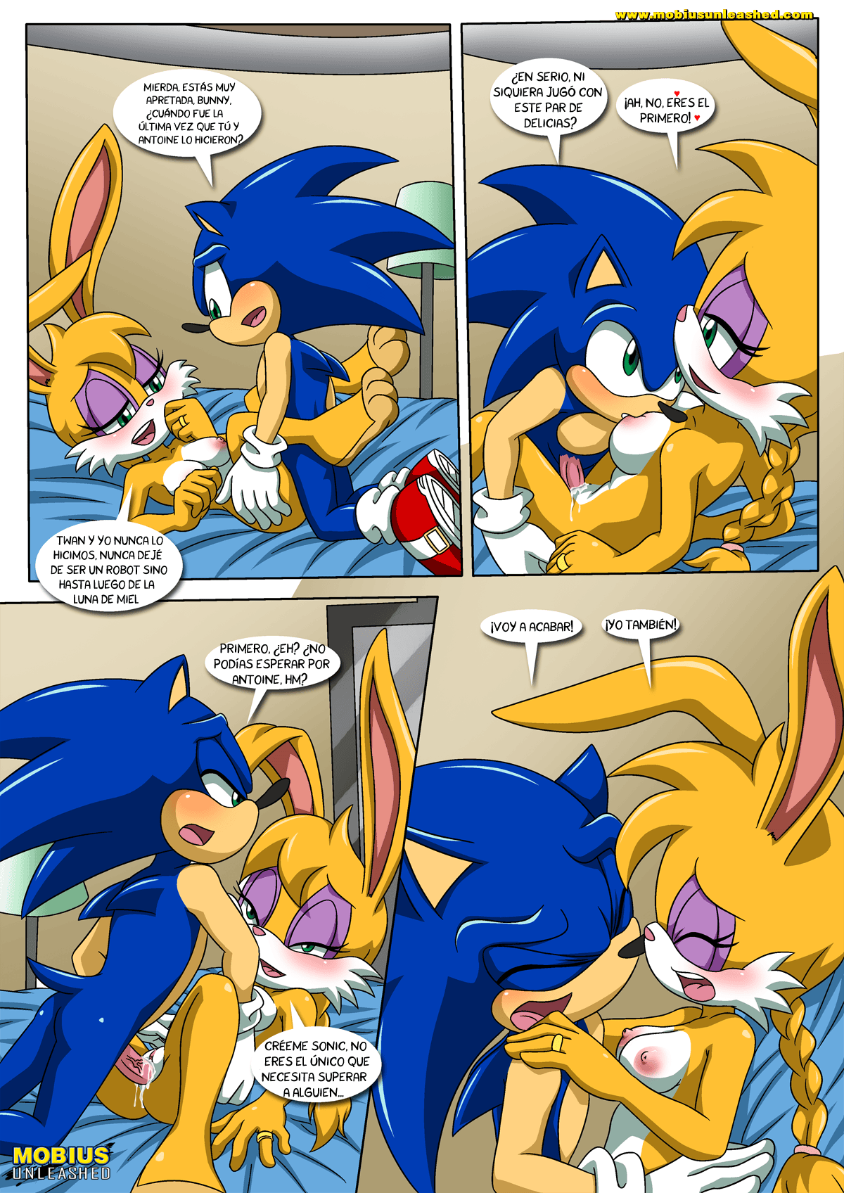 Palcomix Sonic and Sally Break Up 11
