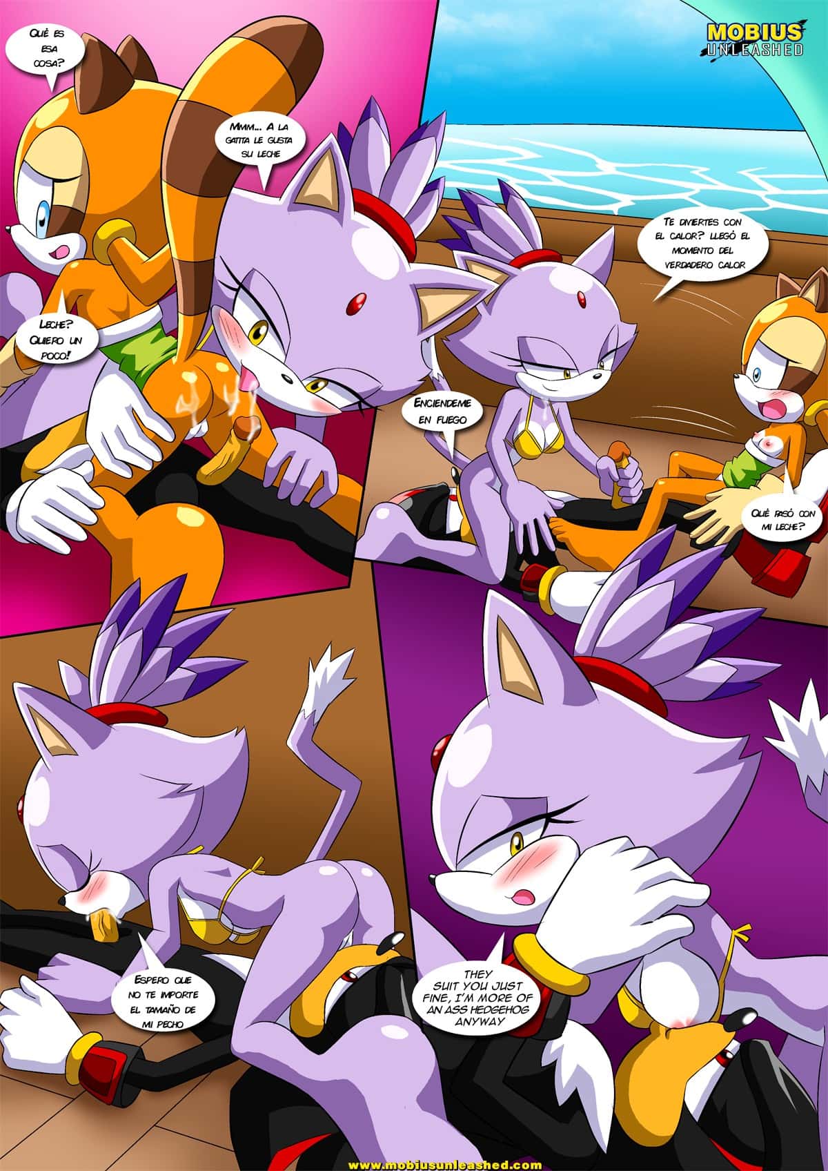 Surrender the Booty 10